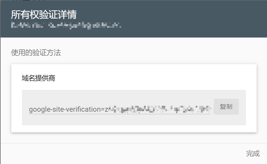 Google Search Console-所有权验证详情